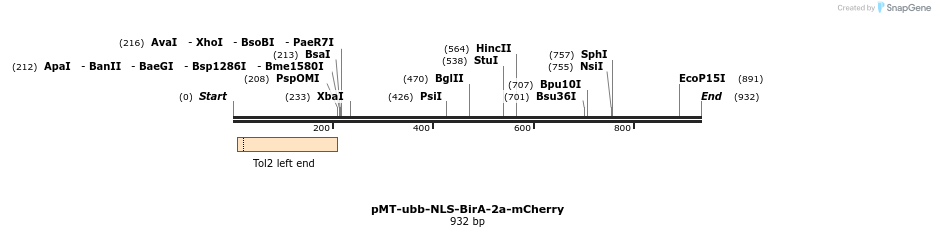157311_map