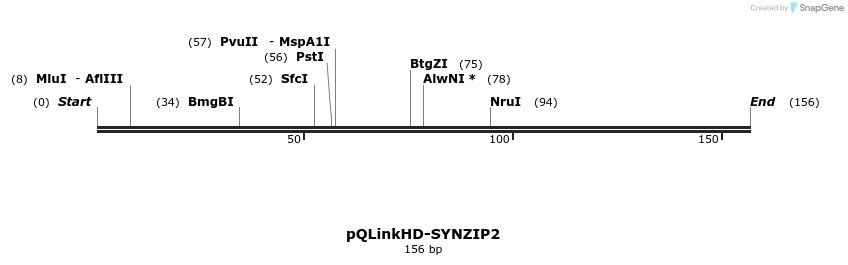 157319_map