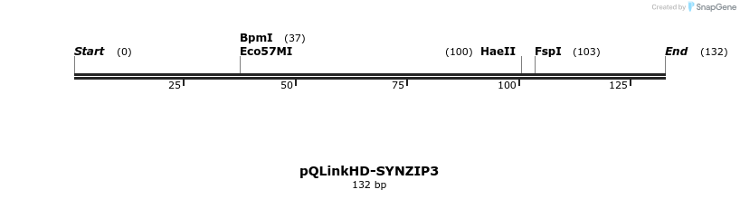 157321_map