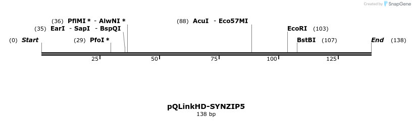 157325_map