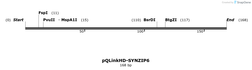 157327_map