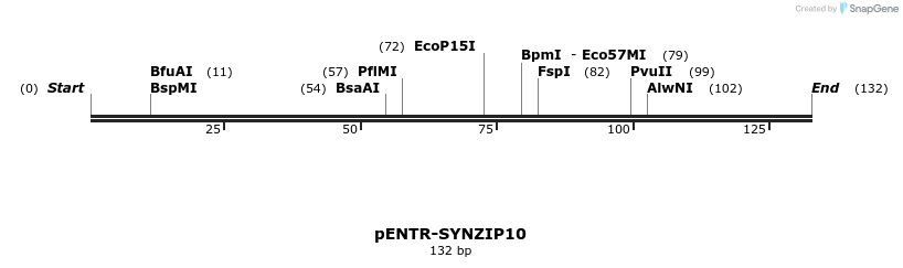 157334_map