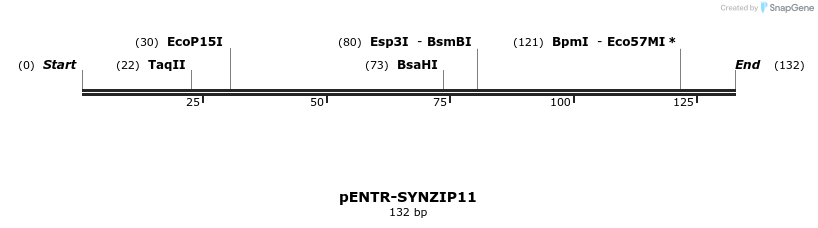 157336_map