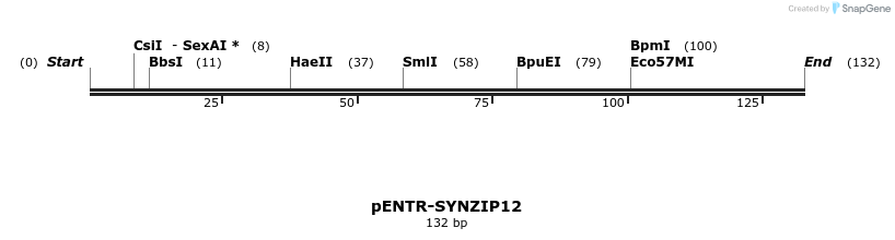 157338_map