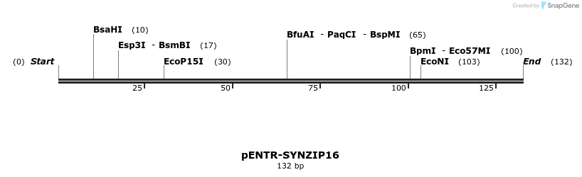 157344_map