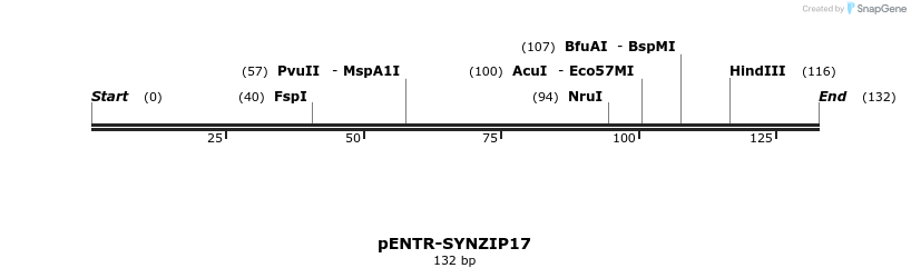157346_map