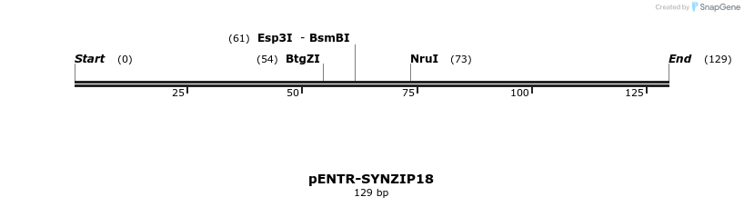 157351_map