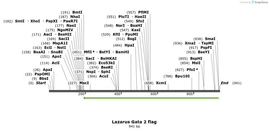 157352_map