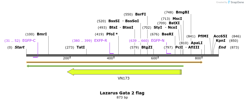 157354_map