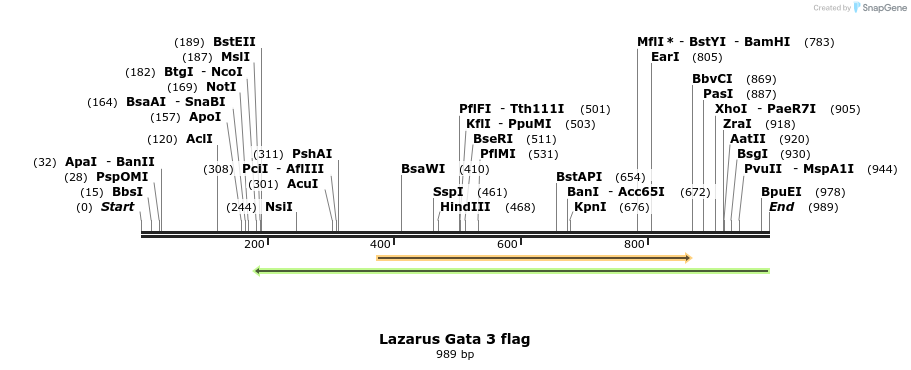 157356_map