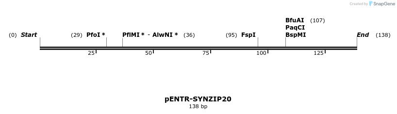 157362_map