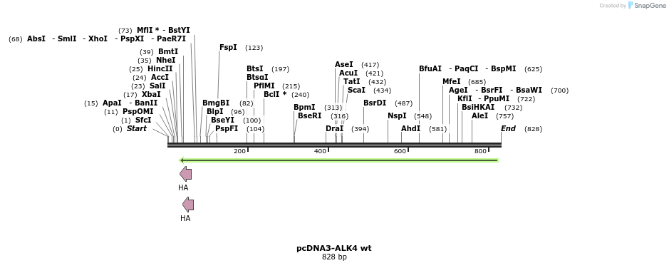 157370_map