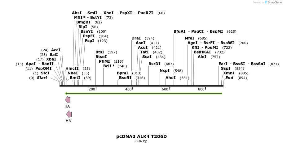 157380_map