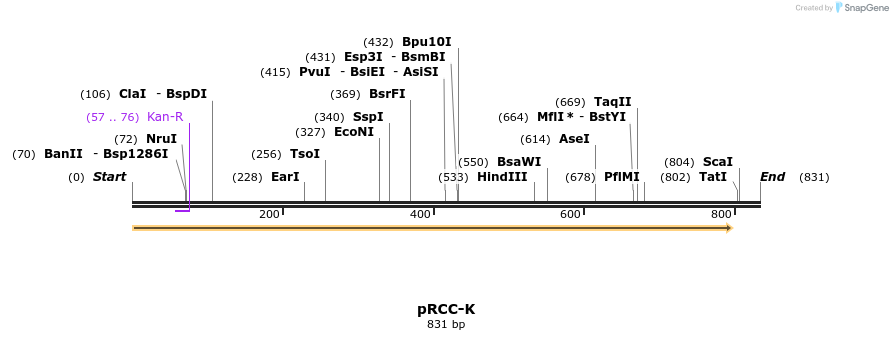 157388_map