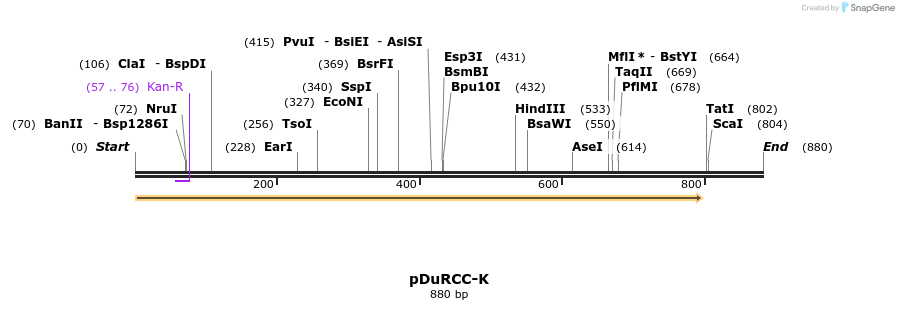 157390_map