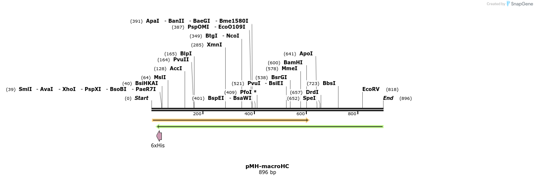 157395_map