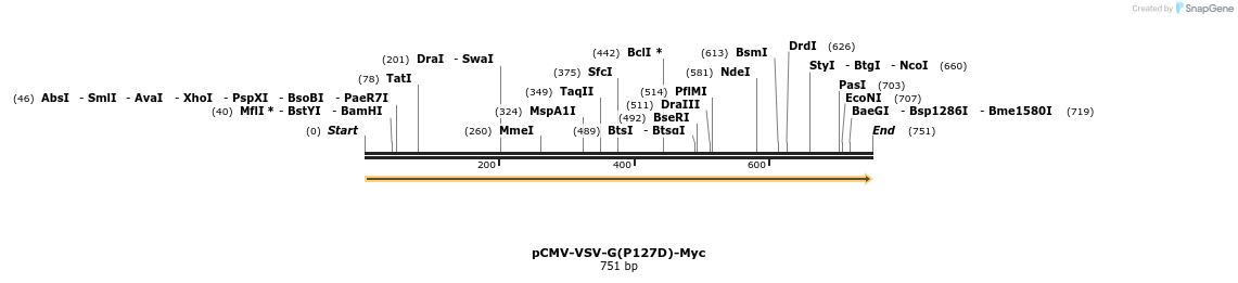 157397_map
