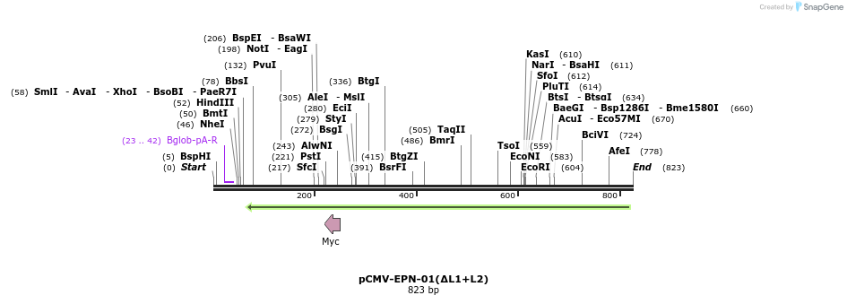 157401_map