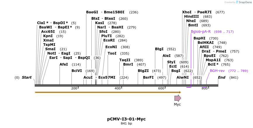 157402_map