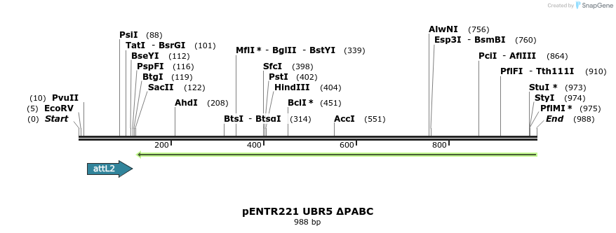 157411_map