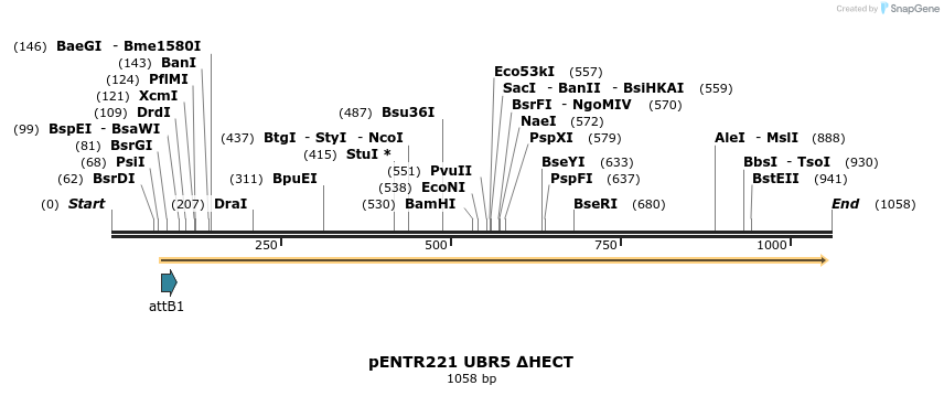 157412_map