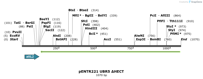157413_map