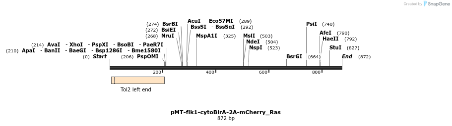 157417_map