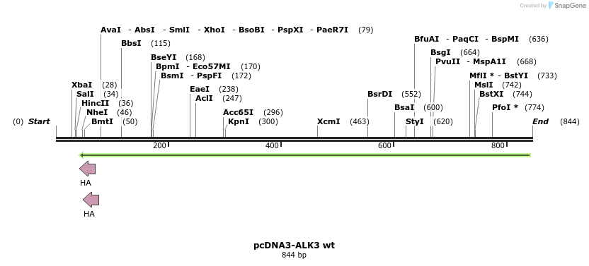 157432_map