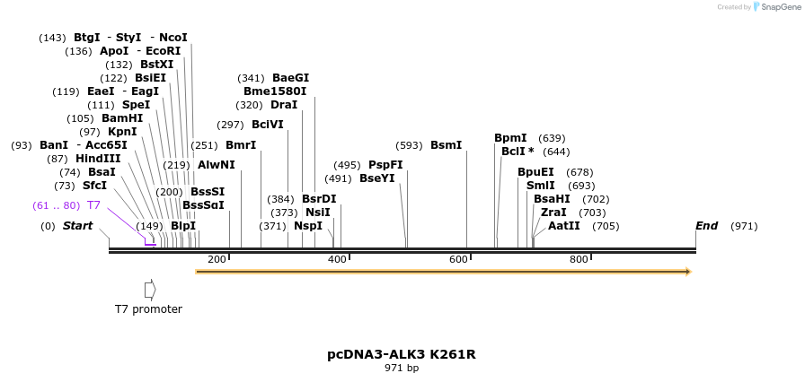 157435_map