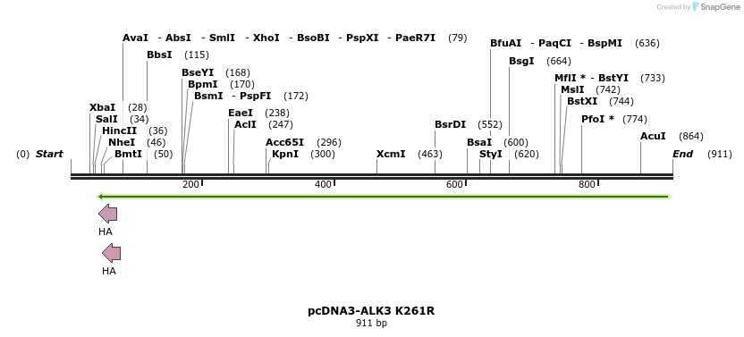 157436_map