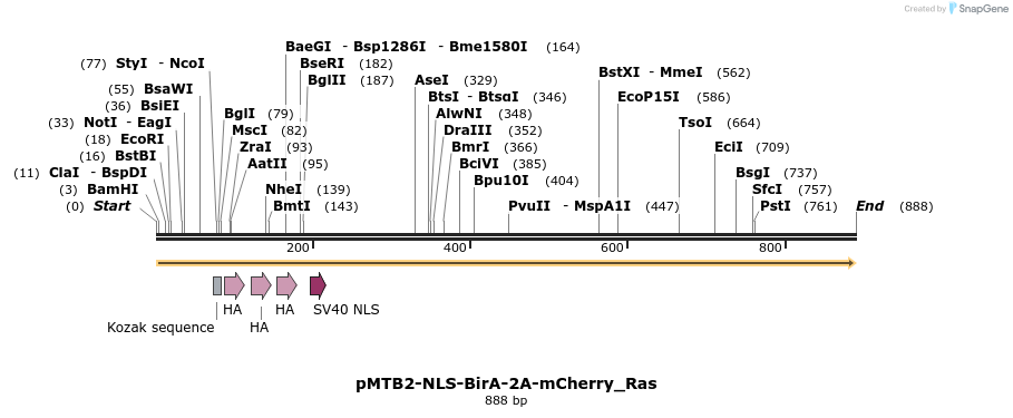 157445_map