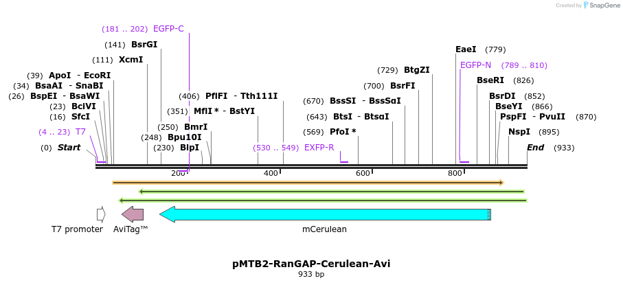 157447_map