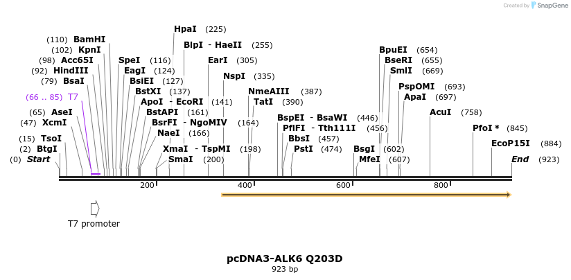 157450_map