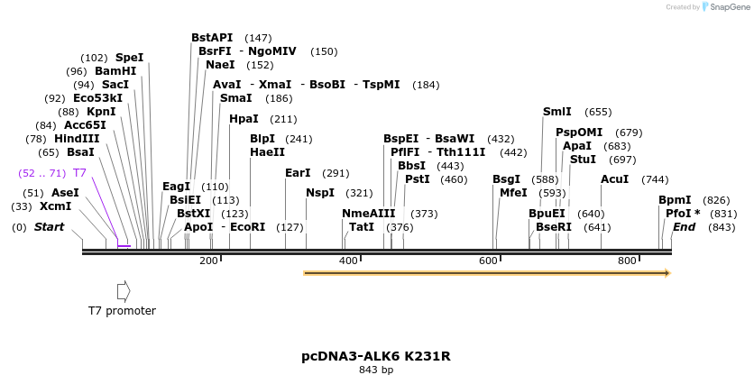 157452_map