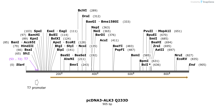 157454_map