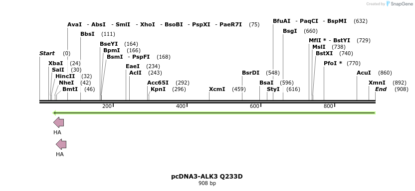 157455_map