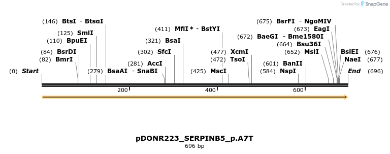 157462_map