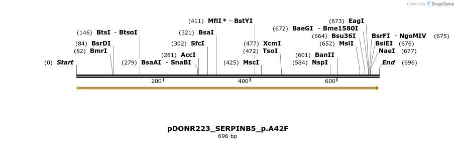 157464_map