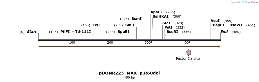 157466_map