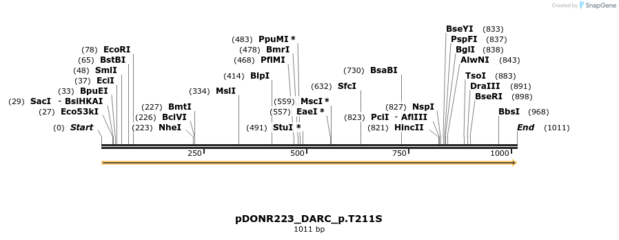 157476_map