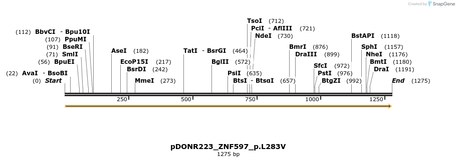 157481_map