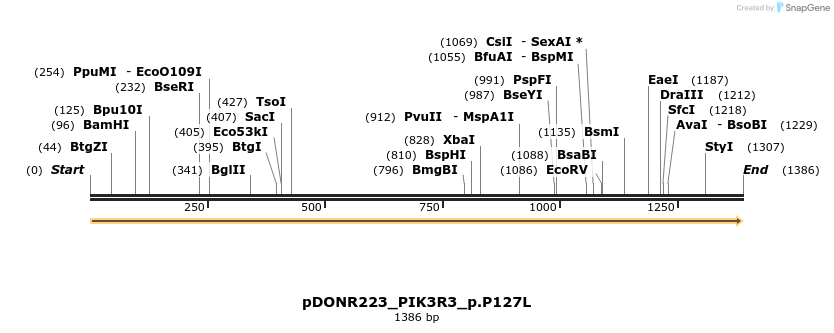 157493_map