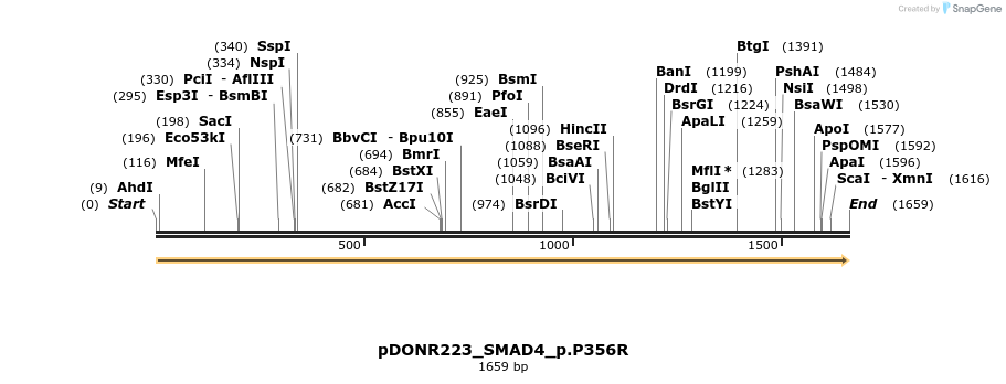 157495_map