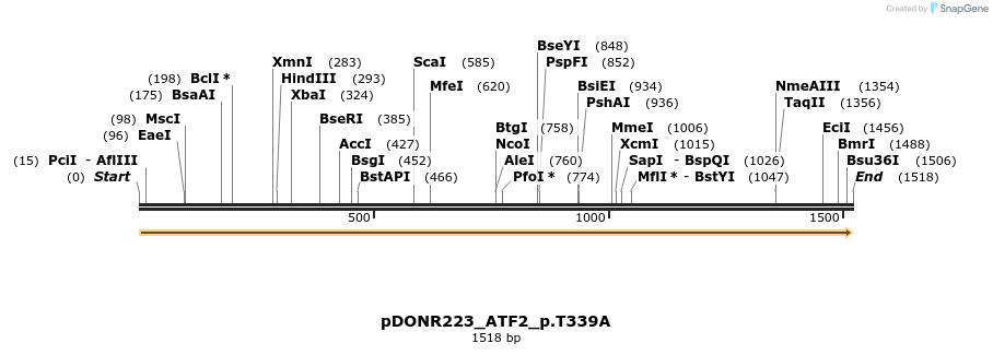 157496_map