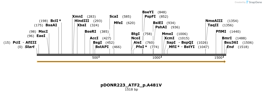 157499_map
