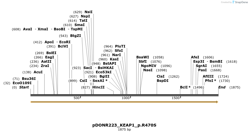 157507_map