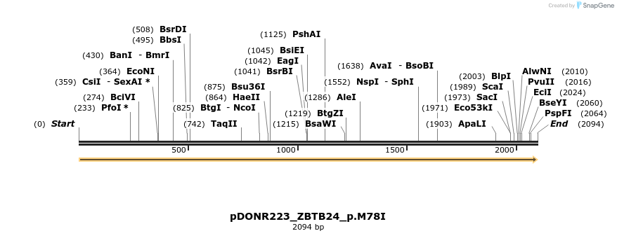 157513_map