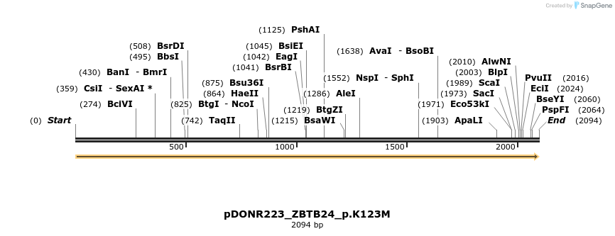 157522_map