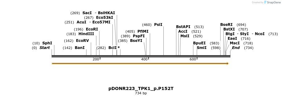 157523_map