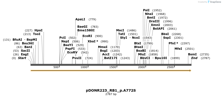 157529_map
